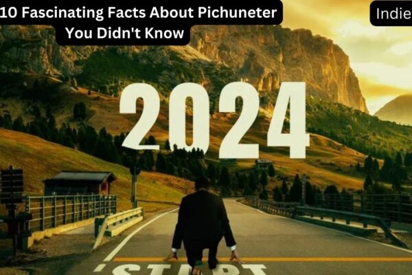 Top 10 Fascinating Facts About Pichuneter You Didn't Know