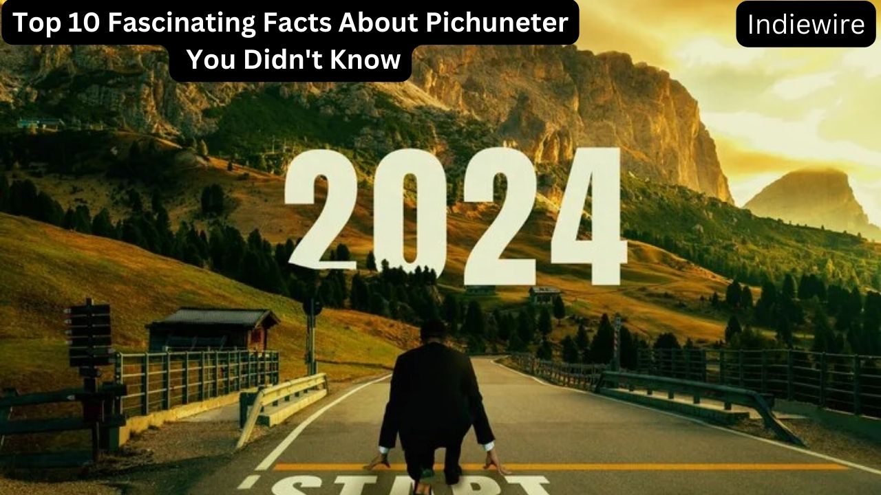 Top 10 Fascinating Facts About Pichuneter You Didn't Know