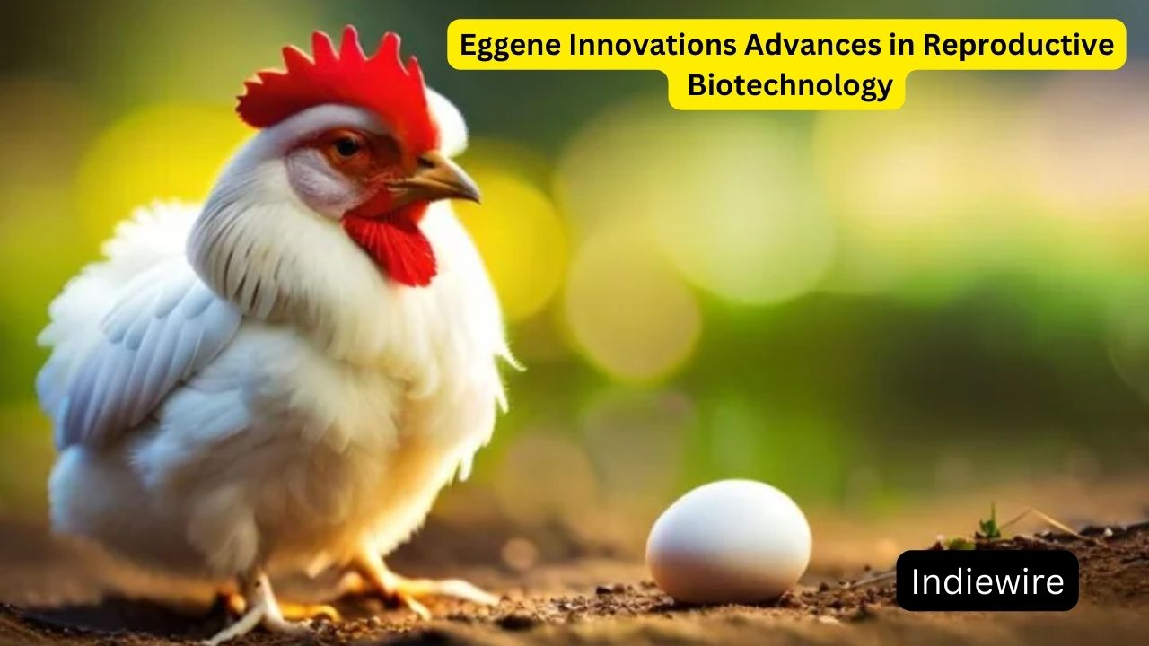 Eggene Innovations Advances in Reproductive Biotechnology